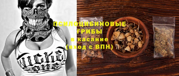 индика Нефтегорск