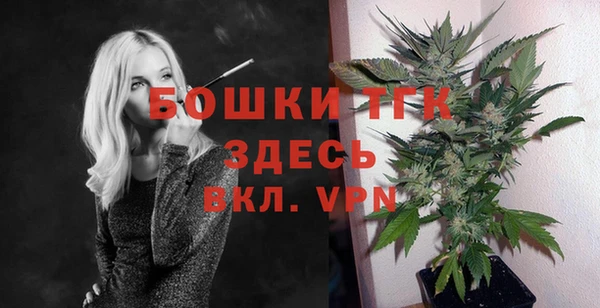 индика Нефтегорск