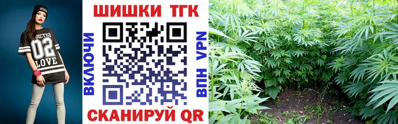 Шишки марихуана OG Kush  Купить закладки  Зея 